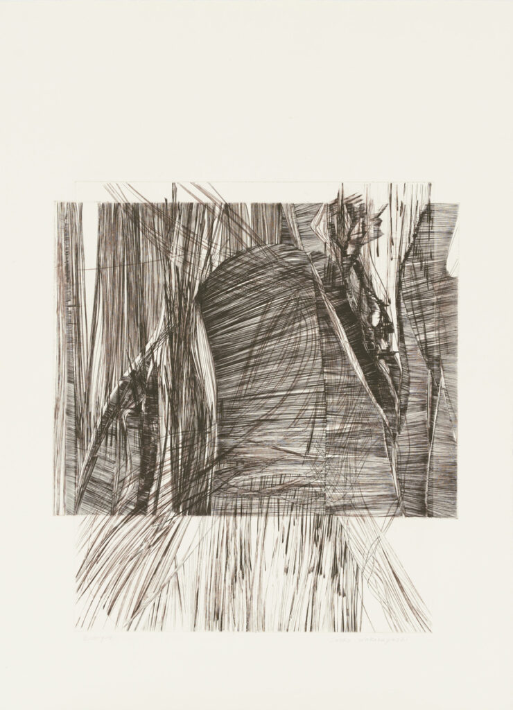 作品画像：Untitled