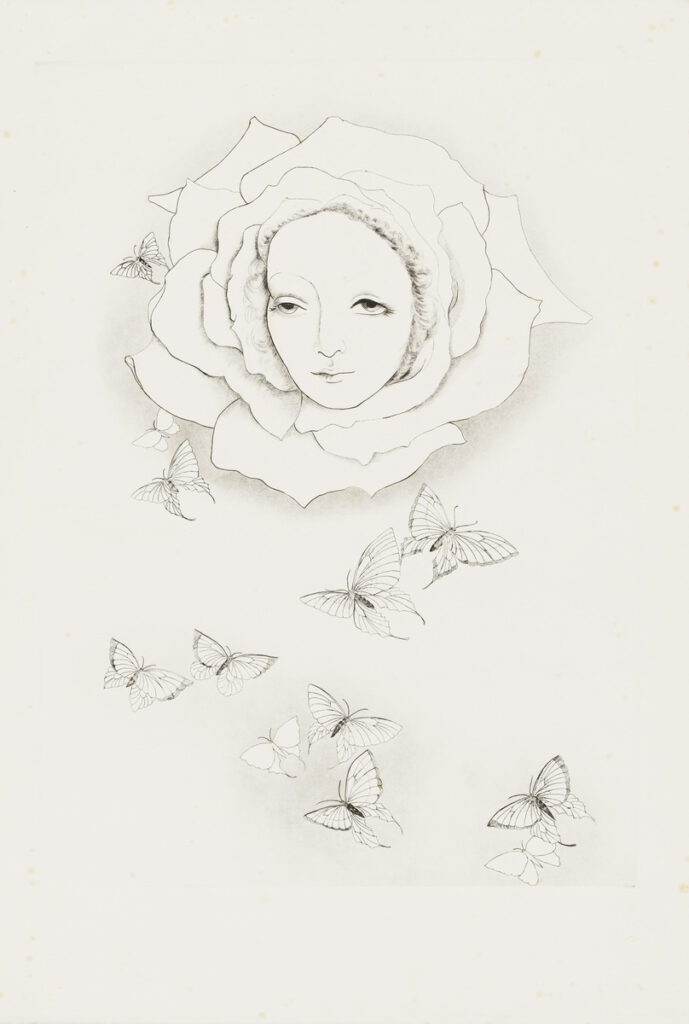 作品画像：［小林ドンゲ関連資料一括：薔薇・Blue Moon］