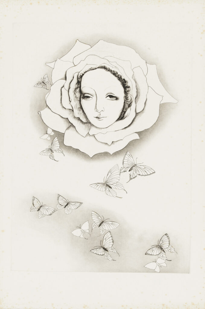 作品画像：［小林ドンゲ関連資料一括：薔薇・Blue Moon］