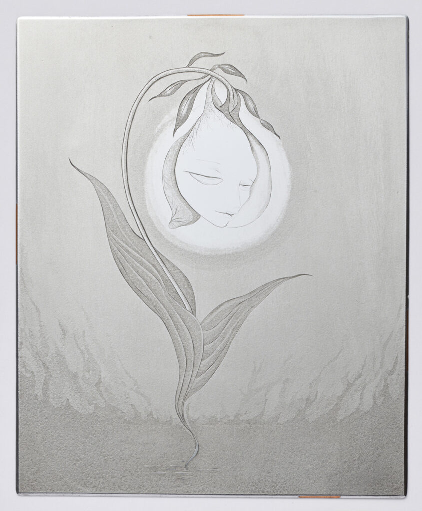 作品画像：［小林ドンゲ関連資料一括：沼の花］
