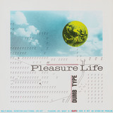 作品画像：[ダムタイプ関連資料一括] 036-Pleasure Life チラシ