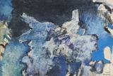 作品画像：海の華