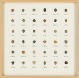 作品画像：POYA DAY：NO.5 2002.12.20~2005.10.17