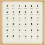作品画像：POYA DAY：NO.6 2005.11.16~2008.9.15