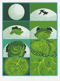 作品画像：Cabbage moon