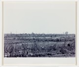 作品画像：うわかわの朝景色