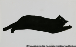 作品画像：猫