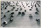 作品画像：1970年代美術記録写真集 「島州一　1973年1月9日　ピナール画廊」
