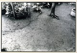 作品画像：1970年代美術記録写真集 「榎倉康二　1973年6月9日　スタジオ」