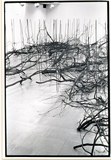作品画像：1970年代美術記録写真集 「菅木志雄　1975年1月　ときわ画廊」