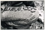 作品画像：1970年代美術記録写真集 「菅木志雄　1976年11月23日　イタリア文化会館」