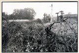 作品画像：1970年代美術記録写真集 「藤原和通　1972年11月　足利」