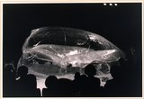 作品画像：1970年代美術記録写真集 「厚木凡人　1973年7月19日　草月会館」