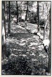 作品画像：1970年代美術記録写真集 「グループ361°　1973年7月　井の頭公園」