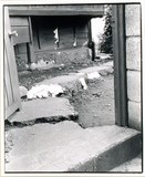 作品画像：1970年代美術記録写真集 「八田淳　1973年6月9日　スタジオ」