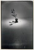 作品画像：1970年代美術記録写真集 「吉田秀樹　1977年10月9日　田村画廊」