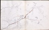 作品画像：［スケッチブック 2］ (11/19)