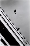 作品画像：［1960s-70s　日本の前衛美術家の記録］ ハイレッド・センター「ドロッピング・イベント」