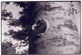 作品画像：1970年代美術記録写真集 「ジュゼッペ・ペノーネ　1970年5月　東京都美術館　『第10回日本国際美術展 Tokyo Biennale ’70 人間と物質』」