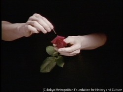 作品画像：Still Life