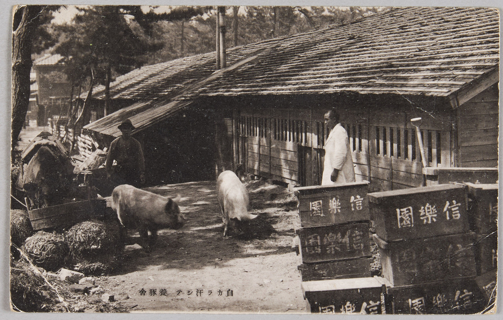 新潟　有明信楽園