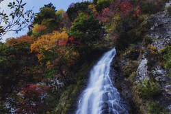 作品画像：紅葉が美しい天滝