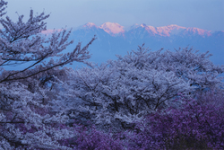 作品画像：山から神が降りてきた